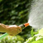 Πώς να το νερό από τις πατάτες - βίντεο Πώς να το νερό από τις πατάτες - βίντεο