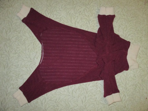 Ζεστό fleece συνολικά για ένα σκυλί