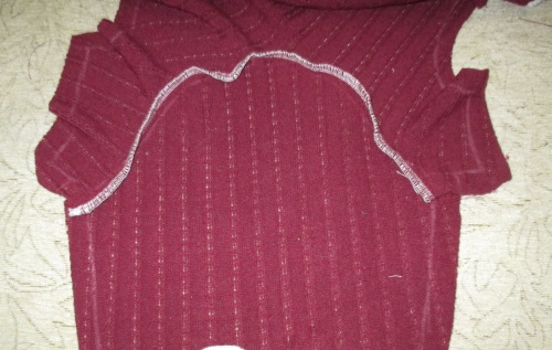 Ζεστό fleece συνολικά για ένα σκυλί