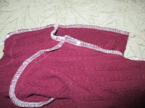 Ζεστό fleece συνολικά για ένα σκυλί