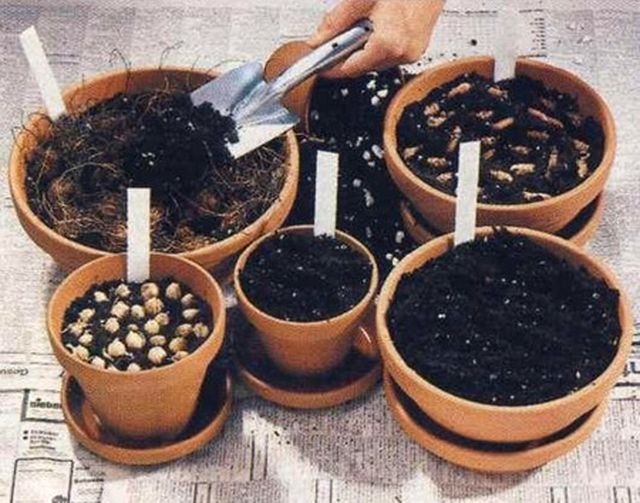 Νοσηλευτική φροντίδα