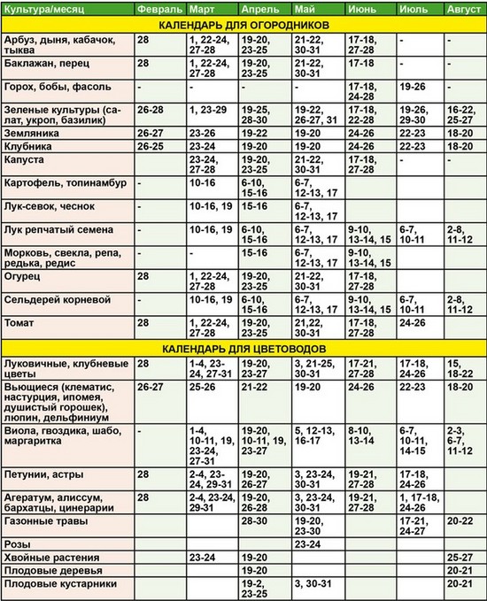 Σεληνιακό ημερολόγιο του κηπουρού κηπουρικής τον Αύγουστο του 2015