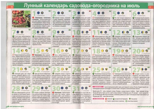 Σεληνιακό Ημερολόγιο του Κηπουρού στη Μεσαία Περιοχή 2015