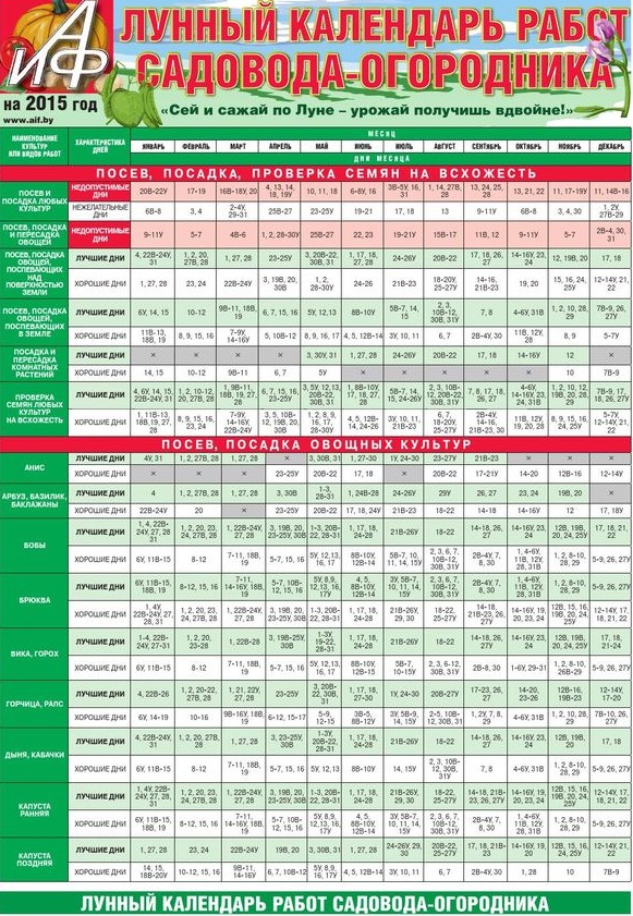 Το ημερολόγιο του Κήπου για τον Ιούλιο του 2015