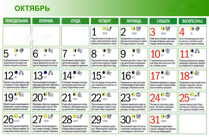 Το σεληνιακό ημερολόγιο του κηπουρού-κηπουρού τον Οκτώβριο του 2015