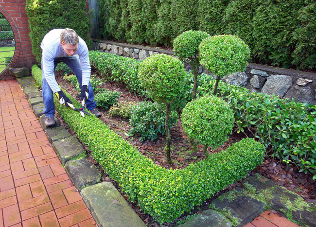 Topiary τέχνη Topiary τέχνη