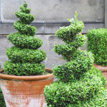 Topiary τέχνη Topiary τέχνη