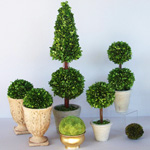 Φροντίδα για topiary Φροντίδα για topiary