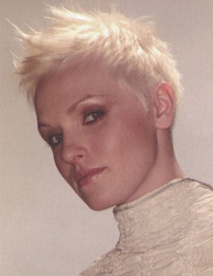 Σύντομα hairstyles στο χορό Σύντομα hairstyles στο χορό