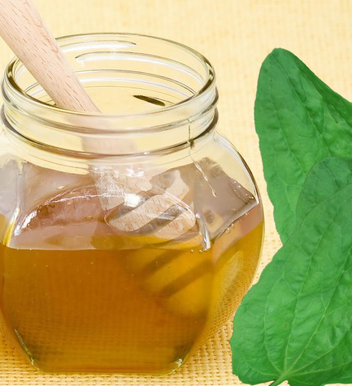Θεραπεία των γαστρικών ελκών με λαϊκές θεραπείες
