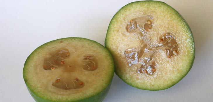 Feijoa - χρήσιμες ιδιότητες, οφέλη και ζημιές από feijoa