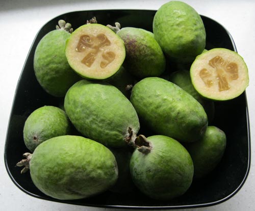 Feijoa - χρήσιμες ιδιότητες, οφέλη και ζημιές από feijoa