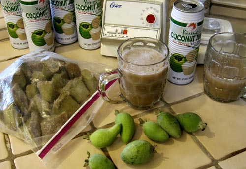 Feijoa - χρήσιμες ιδιότητες, οφέλη και ζημιές από feijoa