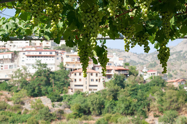 Όταν το καλοκαίρι του 2017 έρχεται στη Μόσχα, Αγία Πετρούπολη, όταν θα είναι ζεστό αυτό το καλοκαίρι