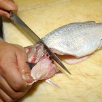 Επεξεργασία ψαριών διαφορετικού τύπου