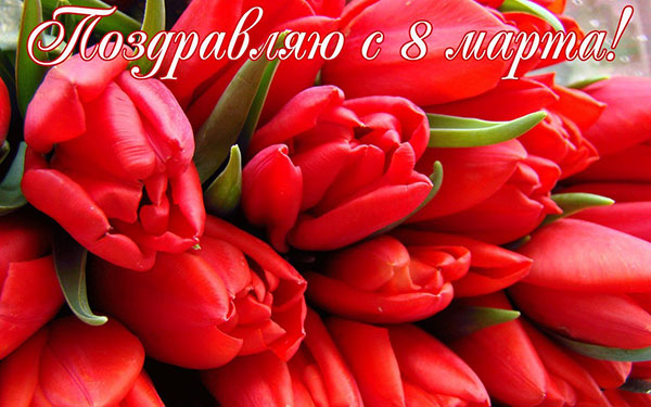 Συγχαρητήρια στις 8 Μαρτίου