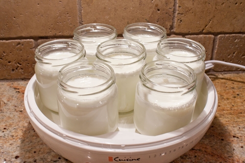 σπιτικό γιαούρτι στο yogurtnitsa