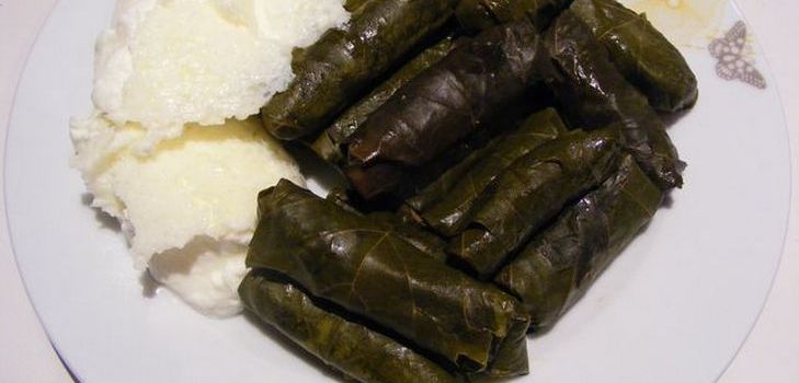 Πώς να μαγειρέψουν το σκυλί στο σπίτι Πώς να μαγειρέψουν το σκυλί στο σπίτι