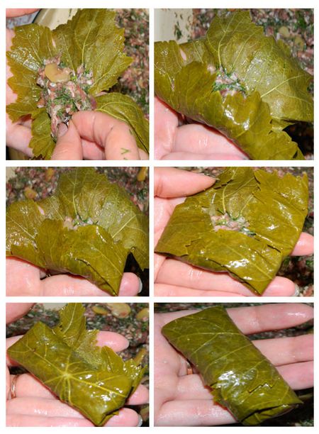Πώς να μαγειρέψουν το σκυλί στο σπίτι Πώς να μαγειρέψουν το σκυλί στο σπίτι