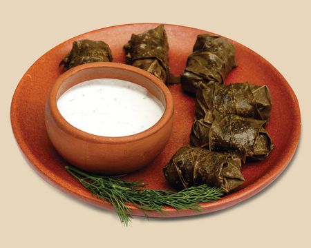 Πώς να μαγειρέψουν το σκυλί στο σπίτι Πώς να μαγειρέψουν το σκυλί στο σπίτι