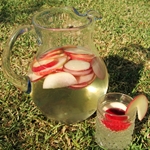 Πώς να κάνετε κρασί Sangria - βήμα προς βήμα συνταγή φωτογραφιών Φωτογραφία της συνταγής κρασιού Sangria