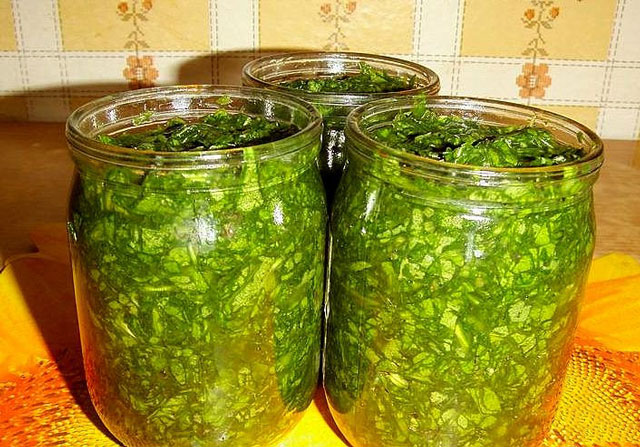 Πώς να ρίξετε τη λάρνακα για το χειμώνα με αλάτι Πώς να ρίξετε τη λάρνακα για το χειμώνα με αλάτι