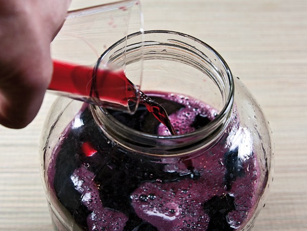 Σπιτικό κρασί από chokeberry