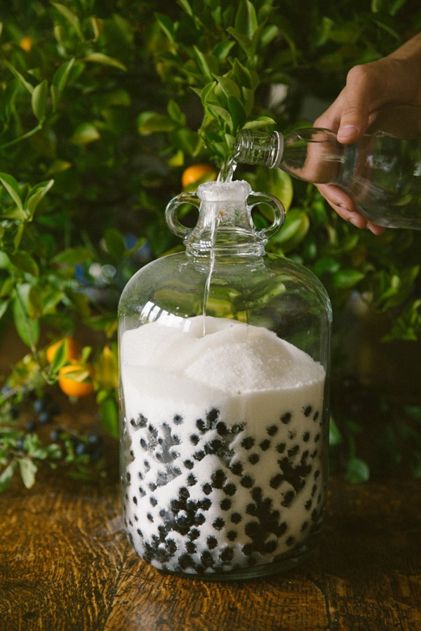 Σπιτικό κρασί από chokeberry