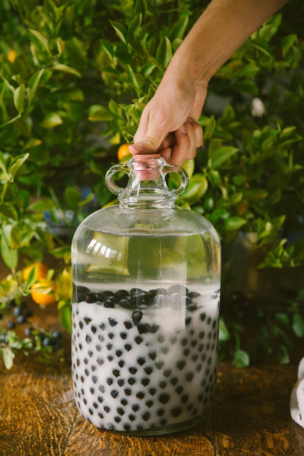 Σπιτικό κρασί από chokeberry