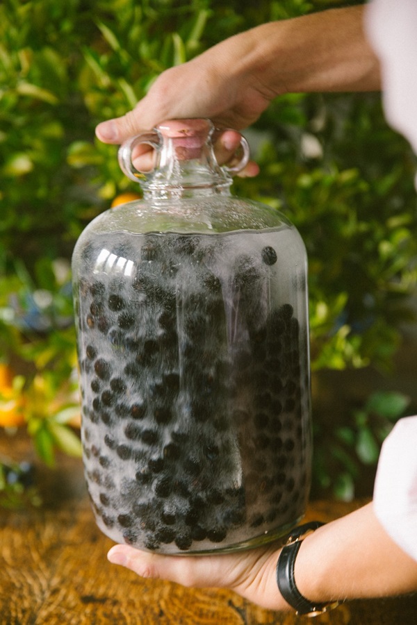 Σπιτικό κρασί από chokeberry
