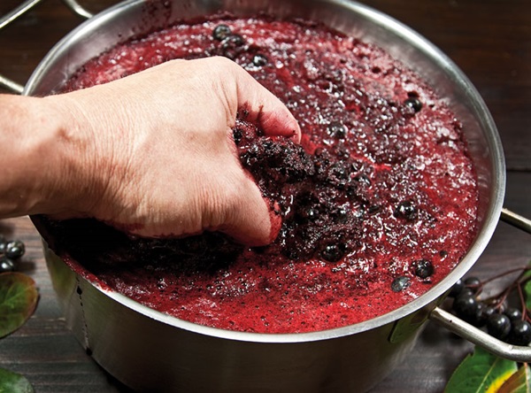 Σπιτικό κρασί από chokeberry