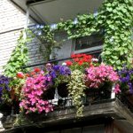 Πώς να διακοσμήσετε ένα μπαλκόνι Πώς να διακοσμήσετε ένα μπαλκόνι