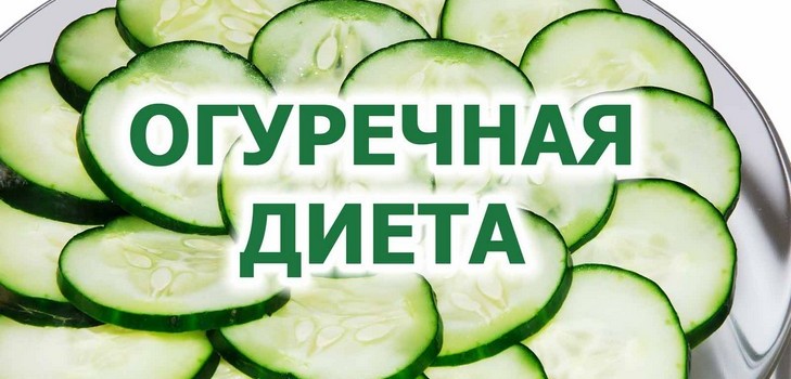 διατροφή αγγουριού