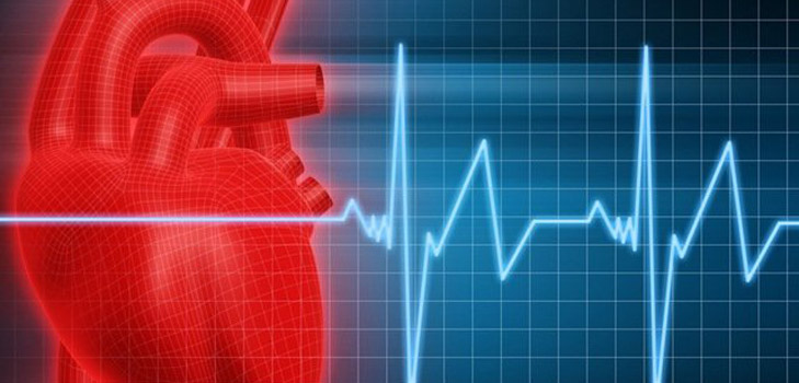 Τι είδους παλμό πρέπει να έχει ένας κανονικός άνθρωπος;