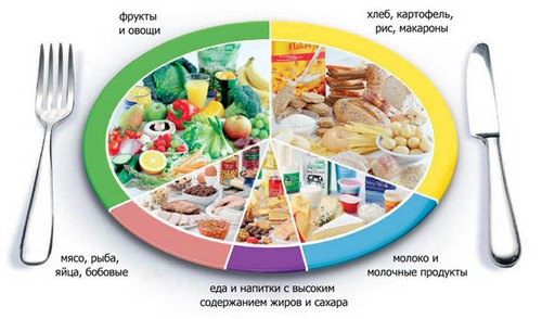 Η σωστή διατροφή για την απώλεια βάρους - τι λένε οι κριτικές