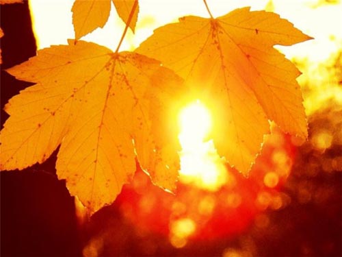 Αιτίες αδυναμίας και κόπωσης