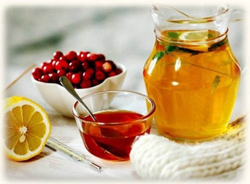 Bearberry: φαρμακευτικές ιδιότητες, εφαρμογή, φωτογραφία