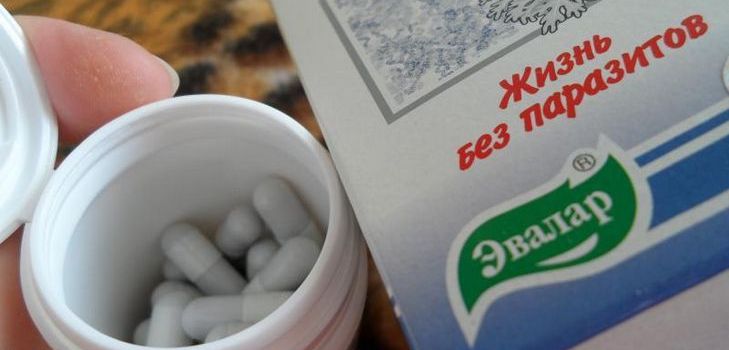 Ένα αντιπαρασιτικό φάρμακο είναι το Troychchatka Evalar. Σύνθεση. Οδηγίες. Κριτικές